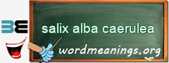 WordMeaning blackboard for salix alba caerulea